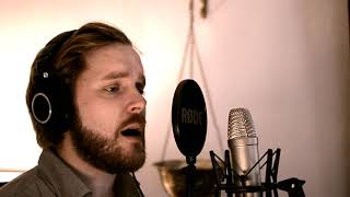 I wanna hold your hand - Glee version - Cover - David Nilsson