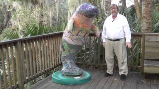 preview picture of video 'Alligators & Manatee - Blue Springs - Episode 9'