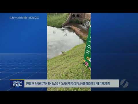 Mortandade de peixes preocupa moradores em Itaberaí