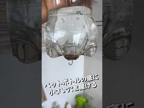 春にいつ、どのように植物に水をやるのですか？ヒント、コツ、避けるべき間違い  庭園