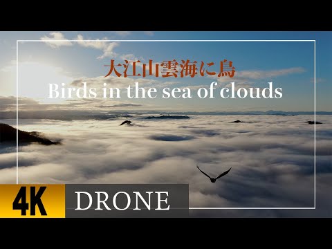 大江山雲海4K ドローン 空撮。Oeyama Unkai 4K drone aerial view. DJI MAVIC 2 zoom
