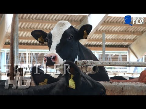 Das System Milch (HD Trailer Deutsch)
