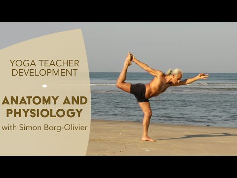 download lagu mp3 mp4 Simon Borg Olivier Teacher Training, download lagu Simon Borg Olivier Teacher Training gratis, unduh video klip Simon Borg Olivier Teacher Training