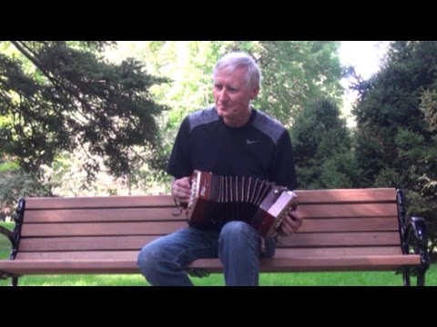 Stagi Concertina