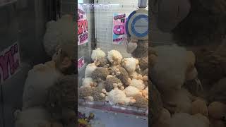 大慶園　crazyUFOキャッチャー！#2　#市川市動植物園近く　