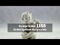The Angel Number 1155: Its Most Significant Interpretations