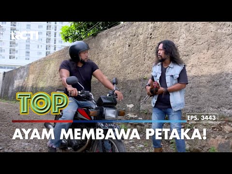 Pelihara Ayam Malah Bikin Bowo Sial | TUKANG OJEK PENGKOLAN