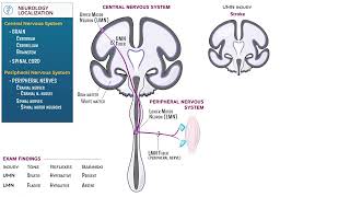 Neurology Localization by Ditki, Medical & Biological Sciences