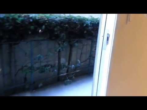 Beverly Hills Adjacent 2 Bed 2 Bath Apartment For Rent - 562Rent.com