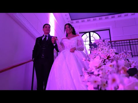 Kazanova, Dragica Jovanovic, Marko Sabanovic Ork. Ace Cergara - Jasmina & Aleksandar Svadba