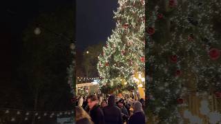 Berner Sternenmarkt🇨🇭 #weihnachten #bern #switzerland
