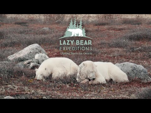 LAZY BEAR EXPEDITIONS Travel Manitoba Destination Spotlight