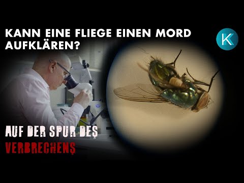 Die Leichenbesiedler | Auf der Spur des Verbrechens #ganzefolge [HD] KrimiKollegen