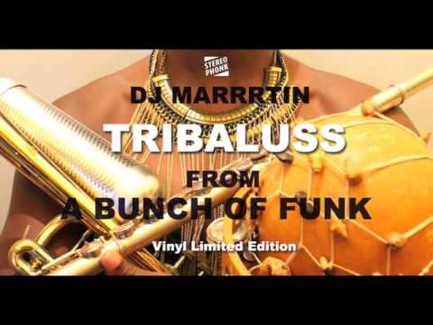 DJ Marrrtin - Tribaluss - Official - A bunch Of Funk - Stereophonk - Bruce Almighty VS Victor