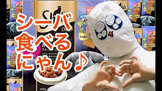 ペドにゃんのカリカリレビュー!!!!!