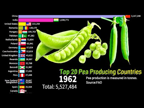 Top 20 Pea Producing Countries || Top 20 Pea Production Countries ||