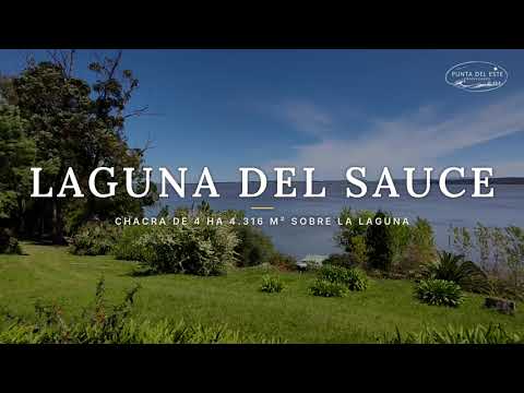 Venta chacra sobre Laguna del Sauce, Punta Ballena