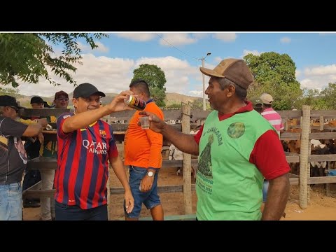Feira do Gado divertida Tonho da banha e galego do Gado. 25/01/2926 Rompe Gibão. Estrela de Alagoas.