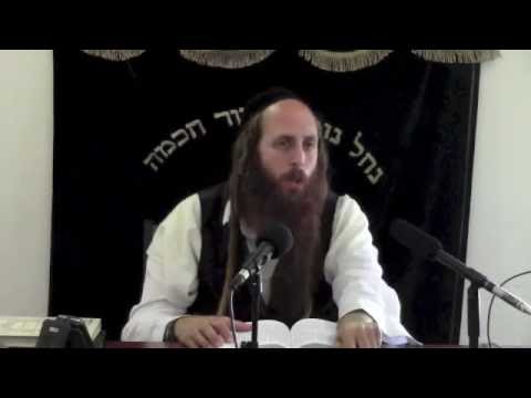 Shiur on King David's Tehillim Psalms 90. 10-7-2013