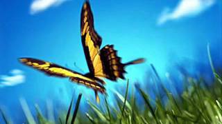 La voce - Laura Pausini.flv