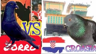 Download lagu SERUNYA NONTON MERPATI KENTONG ZORRO VS CROASIA mp3