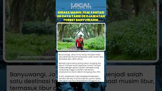 De Djawatan Forest Banyuwangi, Hutan Trembesi Rasa Negeri Dongeng