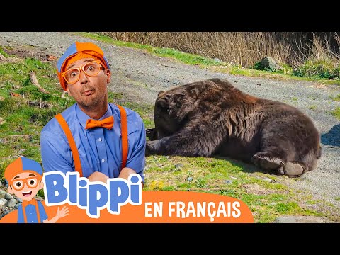 Blippi au zoo - Nourrir les animaux  | @blippifrançais​