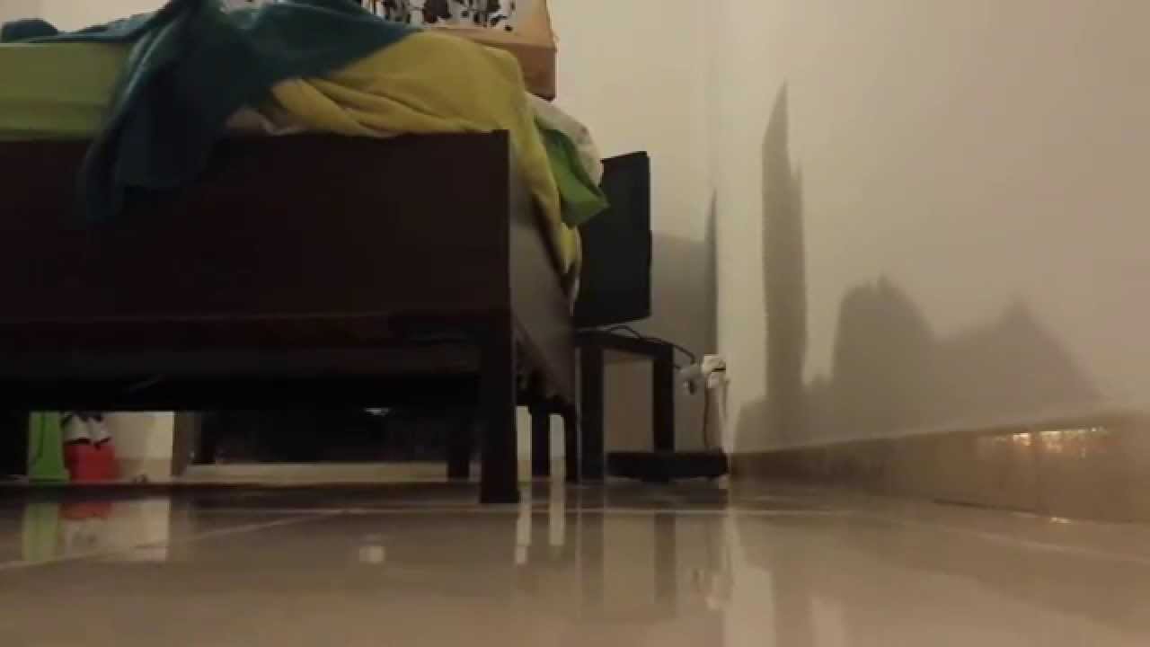 Робот-пылесос iRobot Roomba 631