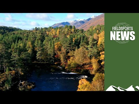 Rewilding Wales threatens nature, fieldsports and farming