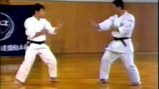 Kihon kumite n°6