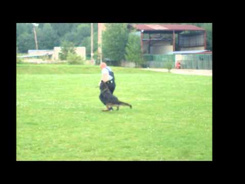 Qentor Naspo - Jožka Šesták a Martin Mészáros