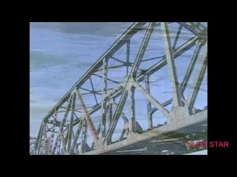 Diana Mihajlovic - Precuti Cover