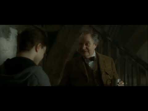 Harry Potter und die Synchro, in der Dumbledore stirbt | TEIL 11