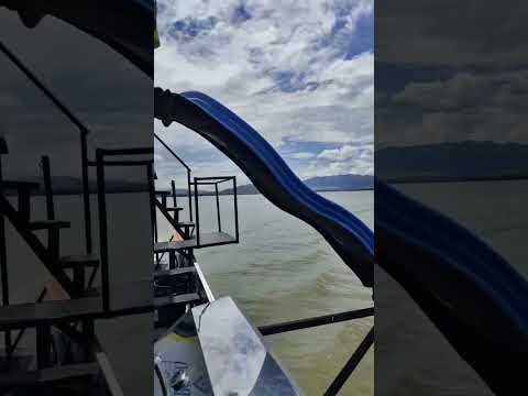 Dj Wilson Pacheco Yaguara Huila