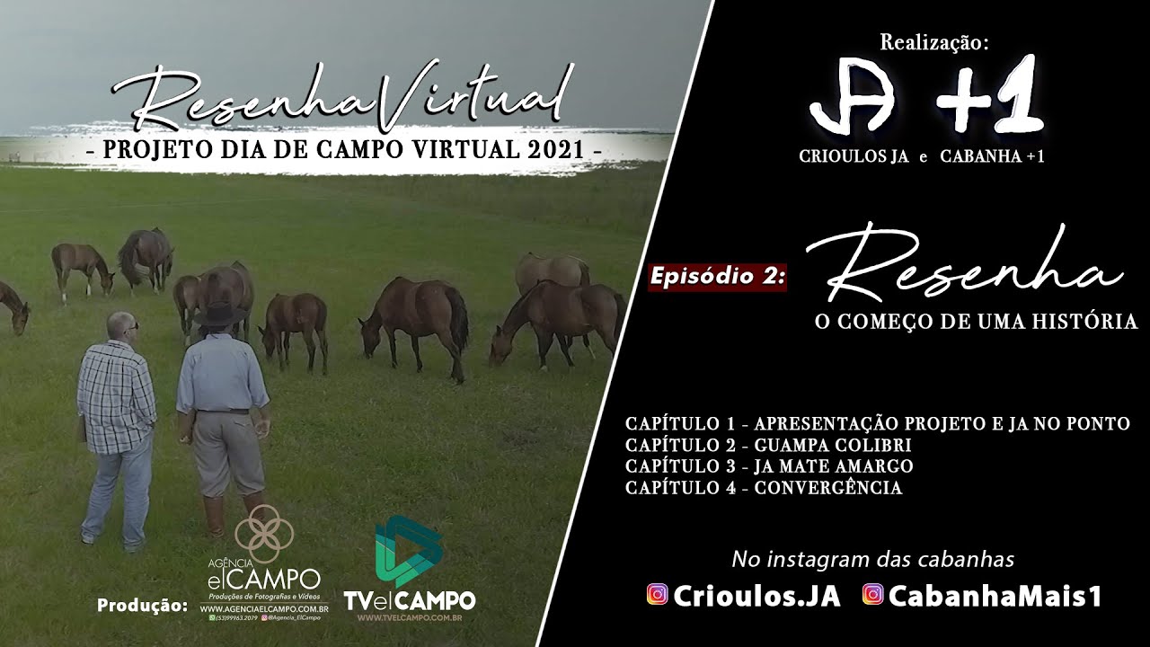 LIVE DIA DE CAMPO VIRTUAL REMATE CP PRODUÇÃO 