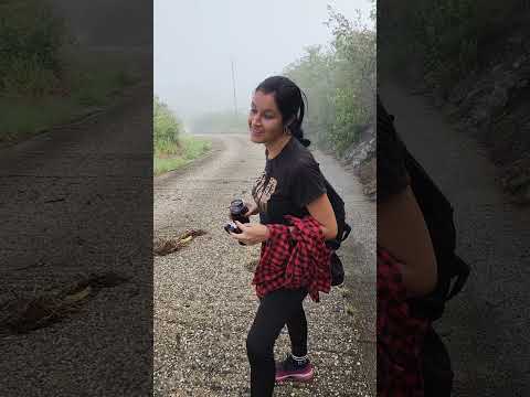Llegamos a la cima de la excursión en la Loma de Micara #SegundoFrente #SantiagodeCuba #Cuba