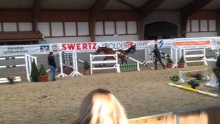 Video koně Easy-going