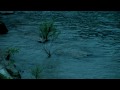 Nyctalgia- Mira... 