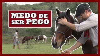Miniatura do vídeo