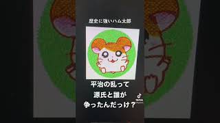 歴史に強いハム太郎 #おもしろ #funny #面白い #ダジャレ #はむ太郎　#ハム太郎 #ハムスター