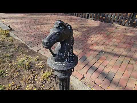 Chestnut Street - Salem, MA - on Halloween (October 31, 2024)