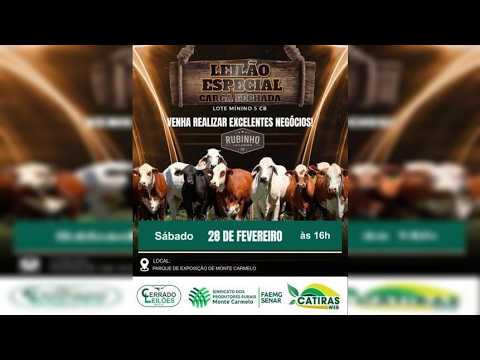 LEILÃO ESPECIAL CARGA FECHADA - CERRADO LEILÕES - DE MONTE CARMELO - MG -  28 DE FEVEREIRO DE 2026.