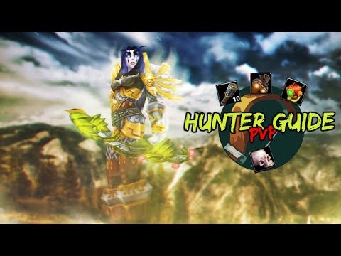 ⚔️ Classic WoW Hunter PvP Guide - (Specs, Items, Matchups, BGs, etc)