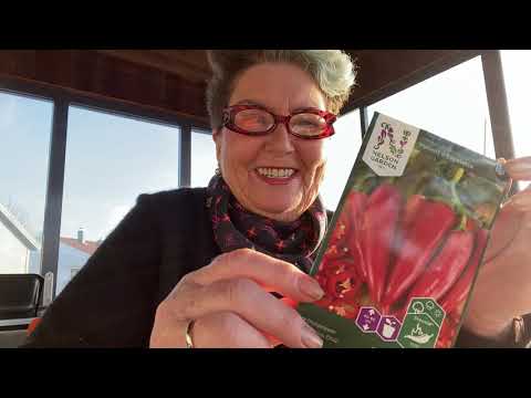 Vi sår chili, microtomat og paprika i januar