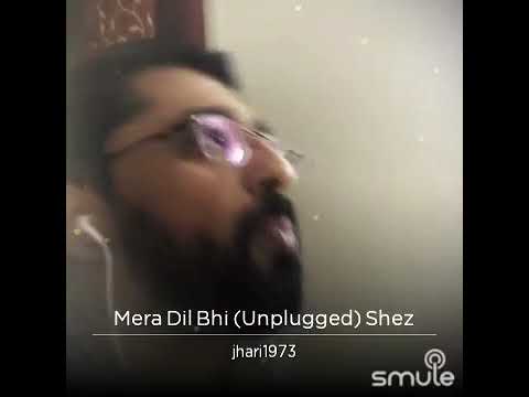 Hari J Mera dil bhi kitna pagal remix version 