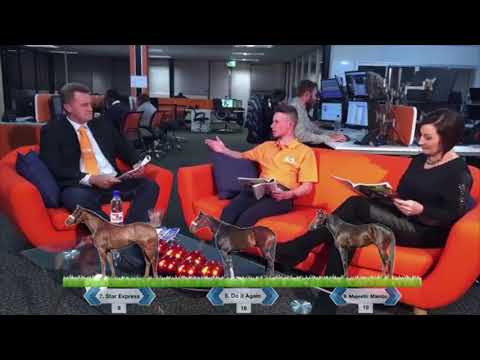 World Sports Betting - Durban July Preview