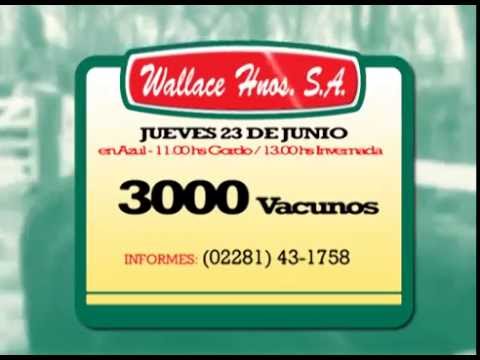 REMATE WALLACE HNOS. - 23/06/16 - AZUL - 3000 VAC.