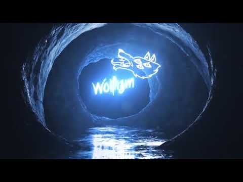 WOLFIZM x MAN ON THE MOON - TRUST NOBODY