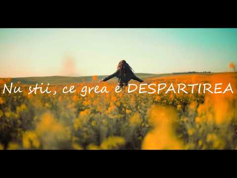 Seek feat. FRDM - Esti Tot Ce Vreau (Official lyric video)