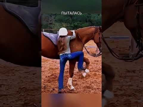 Умная лошадь помогла девочке… То, что произошло дальше, удивило всех 😱